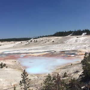 Meet your Posher, Joaquin